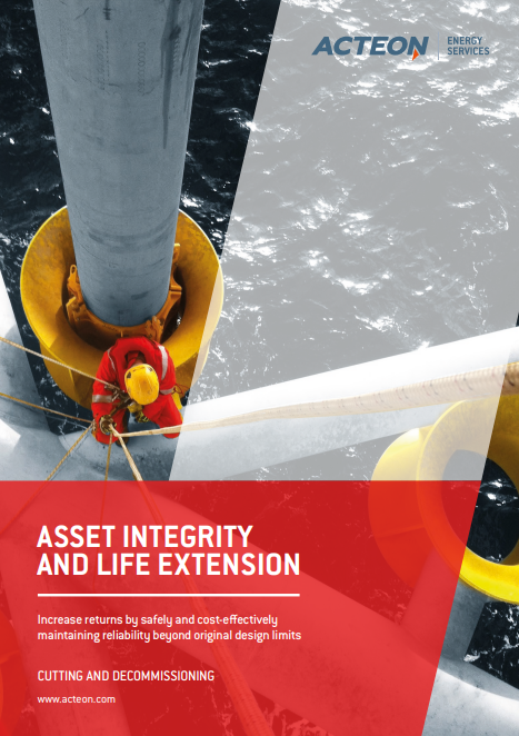 Asset Integrity and Life Extension