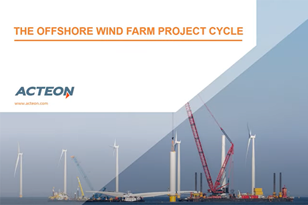 Offshore wind farm project cycle